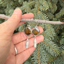 Dark Fossil Range Earrings