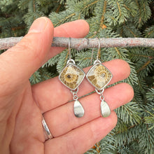 Light Fossil Range Earrings