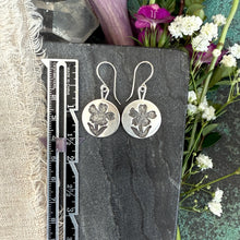 Evening Snow Earrings