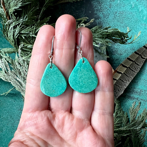 Turquoise Slice Earrings