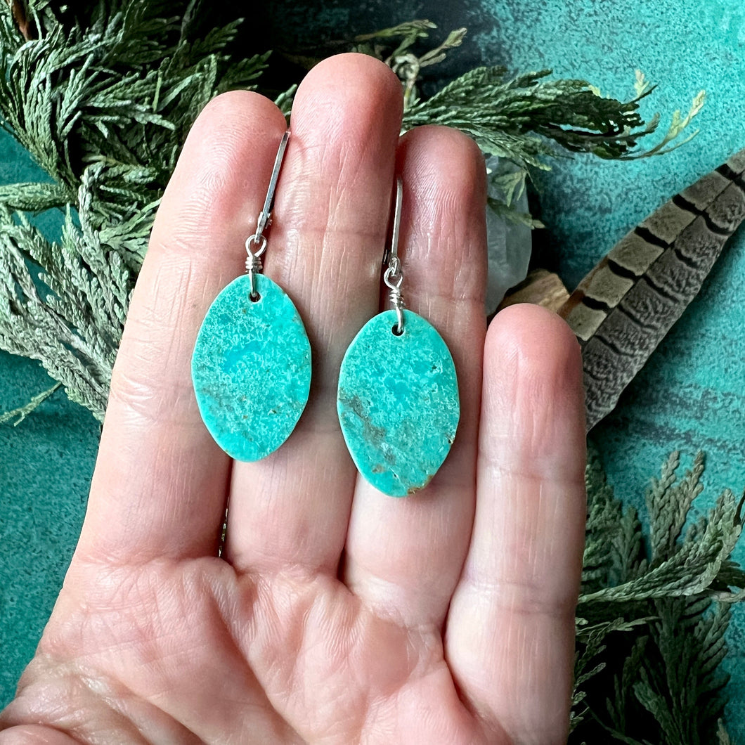 Turquoise Slice Earrings