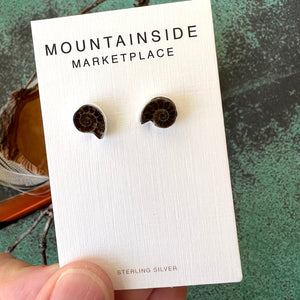 Ammonite Fossil Stud Earrings