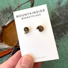 Ammonite Fossil Stud Earrings