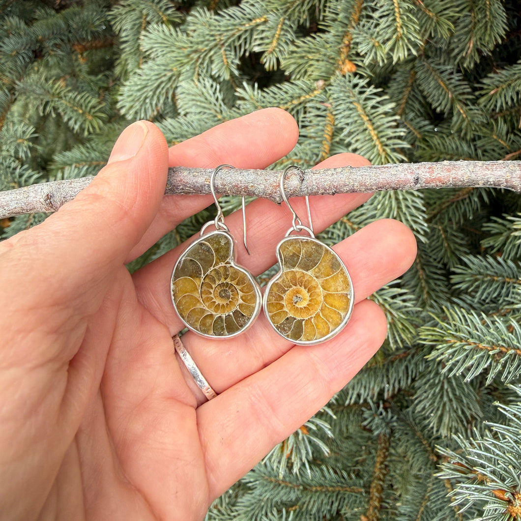 Ammonite fossil earrings held by a hand against a green foliage background